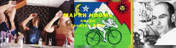 дмт Алексин