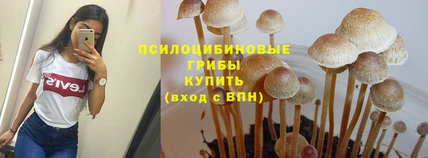 а пвп мука Алексеевка