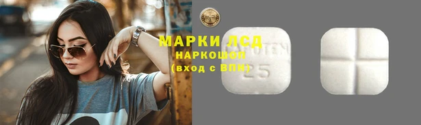 дмт Алексин