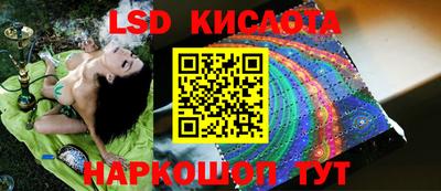 PSILOCYBIN Баксан