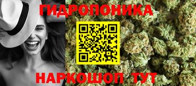 PSILOCYBIN Баксан