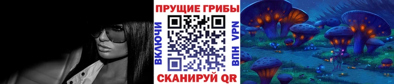 Псилоцибиновые грибы Psilocybe  Североуральск 