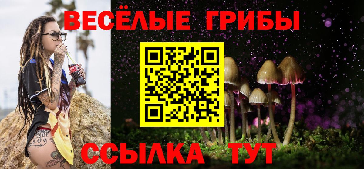 Североуральск  Псилоцибиновые грибы MAGIC MUSHROOMS  Вход с VPN 