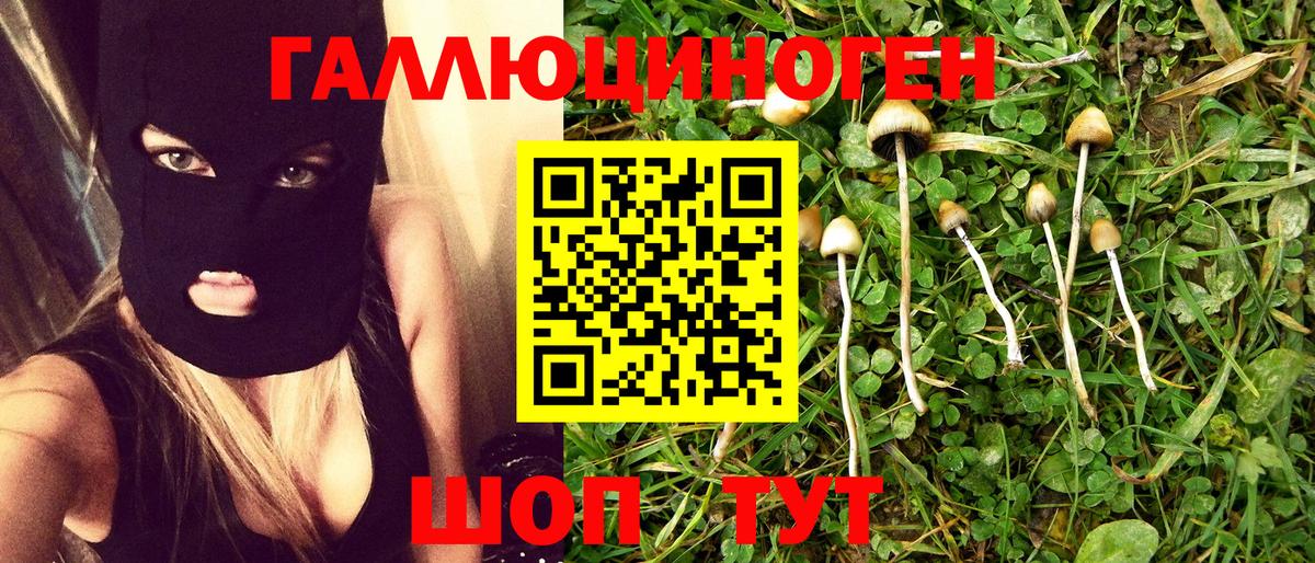 Псилоцибиновые грибы мухоморы Североуральск
