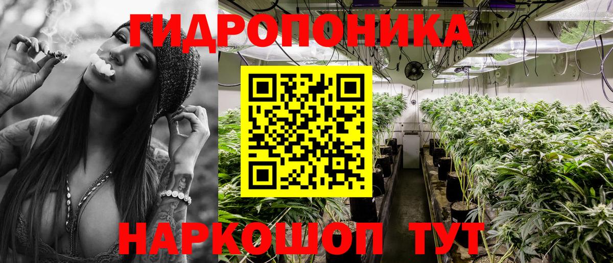 Североуральск  Марихуана сатива  Бошки марихуана сатива  Вход с VPN  Бошки Шишки OG Kush 